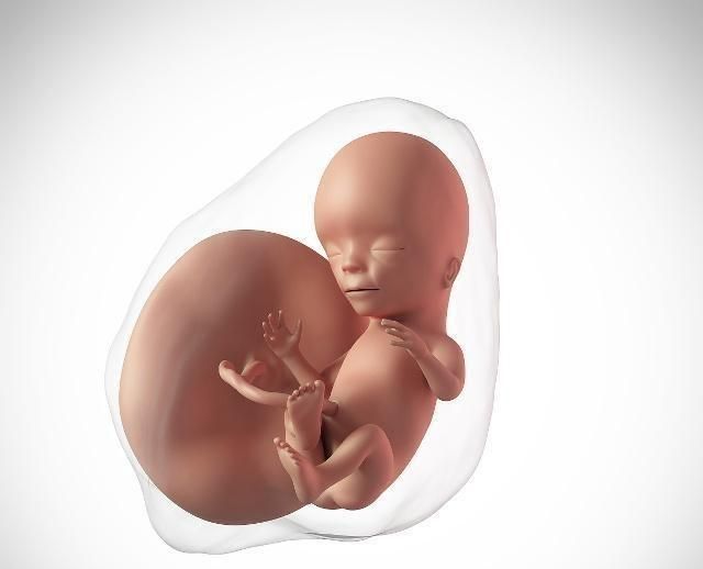 移植受子宫影响的影响会导致哪些问题?
