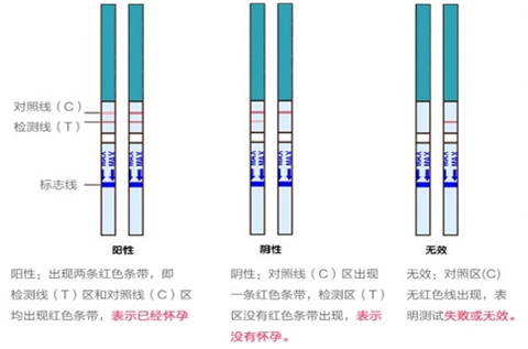 早孕试纸看男女第二道是关键到底是怎么回事呢?