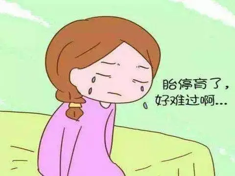 试管移植之后胚胎停止发育一般是因为什么导致的？