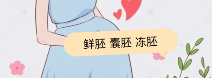 试管婴儿冻胚和鲜胚那个成功率更高？