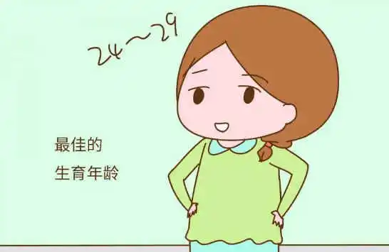 生男生女由什么决定？
